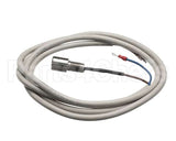 IC155146320 Carpigiani Rodlevel Electronic Control A
