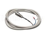 IC155146320 Carpigiani Rodlevel Electronic Control A
