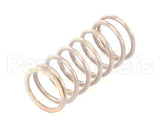 IC178100900 Carpigiani Single Spring C I