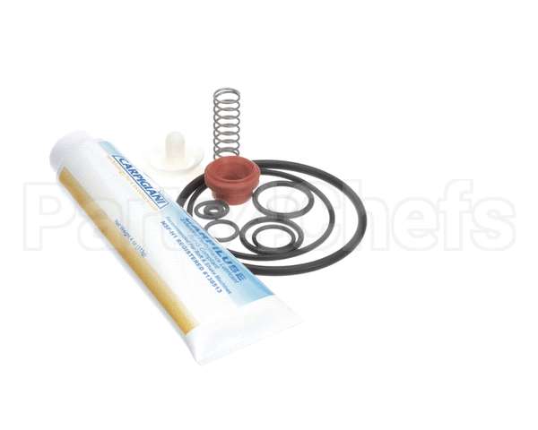 IC193-010082 Carpigiani Tune Up Kit