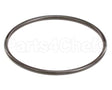 IC541000142 Carpigiani Oring 262 5207 Nb 70 3206