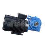 IC558421592 Carpigiani Gearmotor Motor 26S 1:115 2082