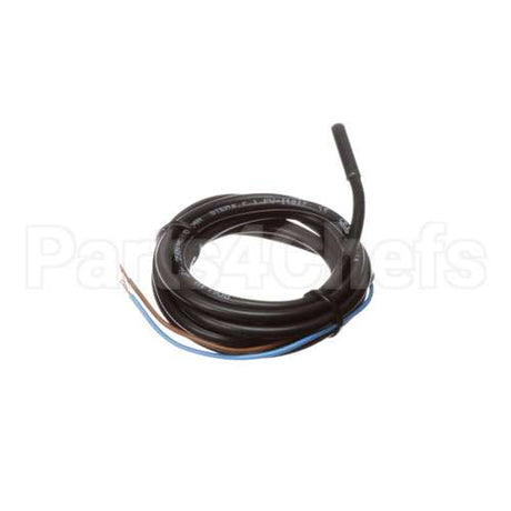 IC572910146 Carpigiani Switch-Dry Reed Stem A061 1V V