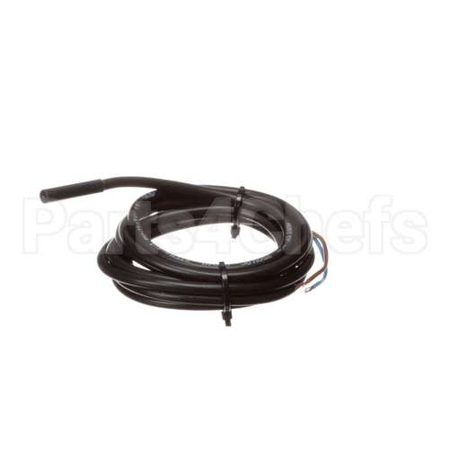IC572910146 Carpigiani Switch-Dry Reed Stem A061 1V V