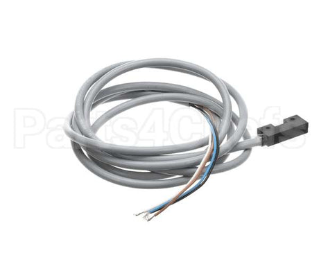 IC572910149 Carpigiani Switch-Dry Reed Stem E510 Zb Q