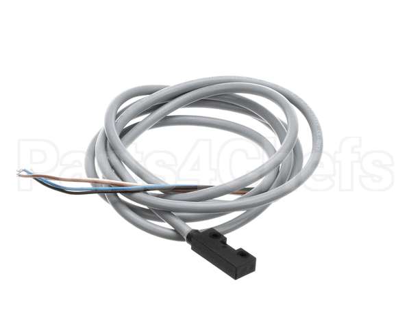 IC572910149 Carpigiani Switch-Dry Reed Stem E510 Zb Q