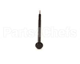 IC596110239 Carpigiani Assembly Plunger And Shank 820