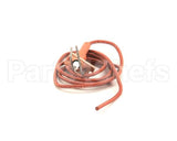 IGN00114 Trane Ignitor, Electrode
