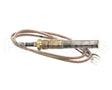 K00800 Globe Thermopile