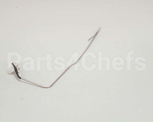 K9-41100-24 Lang Probe - Electronic #1517