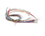 KE02097-1 Cleveland Harness;Kel/T(Sw,208-480 )Hw,2