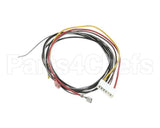 KE54309 Cleveland Low-Volt Lead Assembly ;Kgt (Fenwa