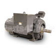 KF8008 Teco Medium Voltage Motor