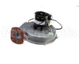 KIT02588 Trane Motor208-230V 60/50Hz 3500Rpm