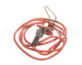 LH33WZ010 Bryant Payne Ignitor