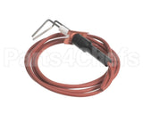 LH33WZ018 Bryant Payne Ignitor