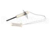 LH33ZG002 Bryant Payne Ignitor