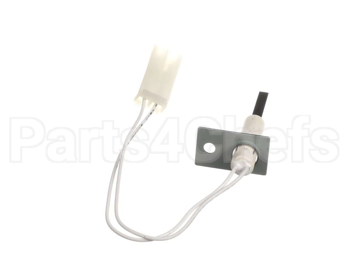 LH33ZG002 Bryant Payne Ignitor