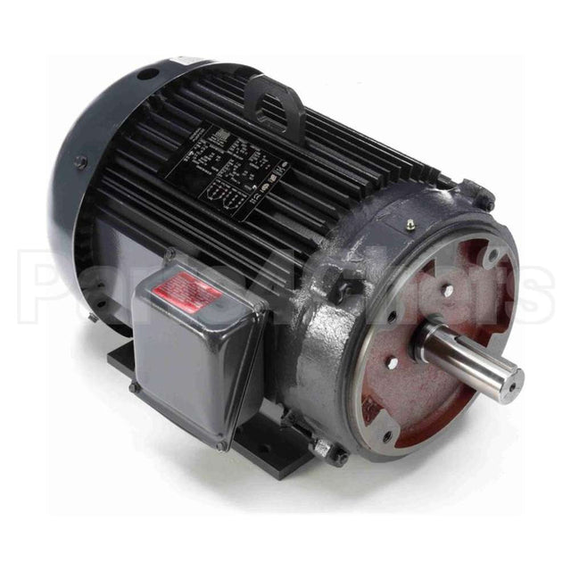 LM16752 Leeson Motor