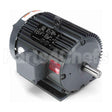 LM33486 Leeson Motor