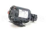 M0047 Bki Motor W/Pump, 115-208/230/50-60Hz