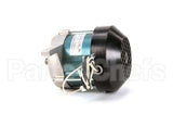 M030 Globe 1/2 Hp Motor