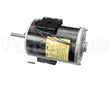 MOT12628 Trane Motor, 460V 60Hz/380-415V 50Hz, Teao, 1.
