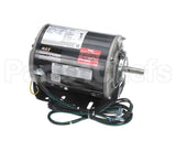 MOT16117 Trane Motor, Alternating Current