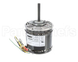 MOT18954 Trane 200-230V 3/4Hp 1075Rpm 3Spd