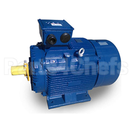 MP0406 Teco Motor