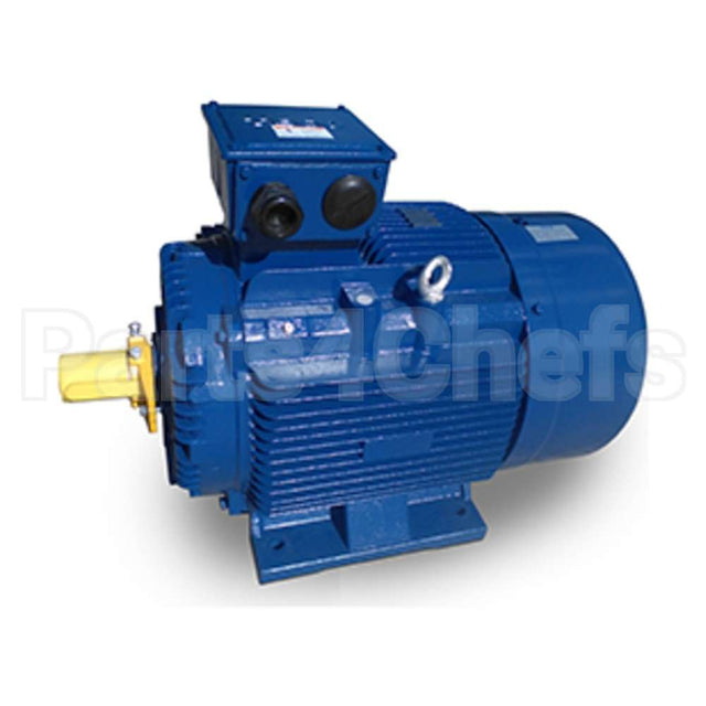 MP1004 Teco Motor