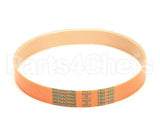 MS51 Globe Drive Belt