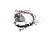 NGC-1150-1.E Turbochef Wire Harness, Line Vtg, 1Ph