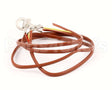 NT1097 Groen Thermocouple, Assb, Electric Intek Steam