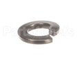 NT1216 Groen Lock Washer- Lock 1/4 Ss