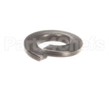 NT1216 Groen Lock Washer- Lock 1/4 Ss