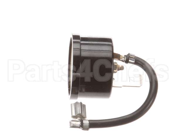 P00363-01 Hoshizakimotor Prot
