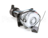 P00468-01 Hoshizakipump Assembly(