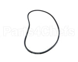 P00957 Globe Lower Motor Belt