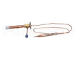 P01129-01 Hoshizakiexpansion