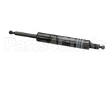 P063819M Hillphoenix Piston 100N