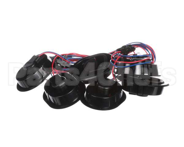 P096378GBK Hillphoenix Harness