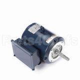 P229M2 Century Close Coupled Pump Motor