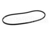P463-A39 Bryant Payne Belt