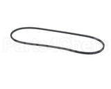 P463-A51 Bryant Paynev-Belt