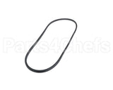 P463-A51 Bryant Paynev-Belt