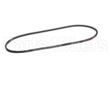 P463-A51 Bryant Paynev-Belt