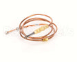 P8903-48 Anets Thermocouple T4636