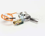 P8904-47 Anets Plt,Sprk Electrode Anets