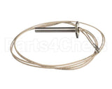 PA045 Cookshack Igniter